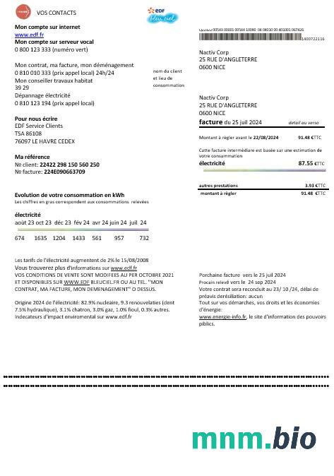 Francja EDF dowód adresu szablon rachunku za media Biznesowe w formatach Word i PDF